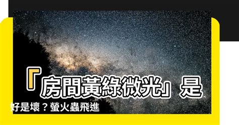 家裡出現 螢火蟲 代表 什麼|賞螢——清風 微光漫漫行~螢火蟲小百科 